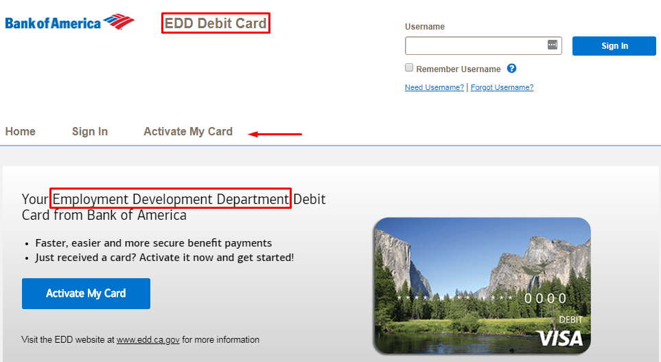 how to transfer from bank of america edd