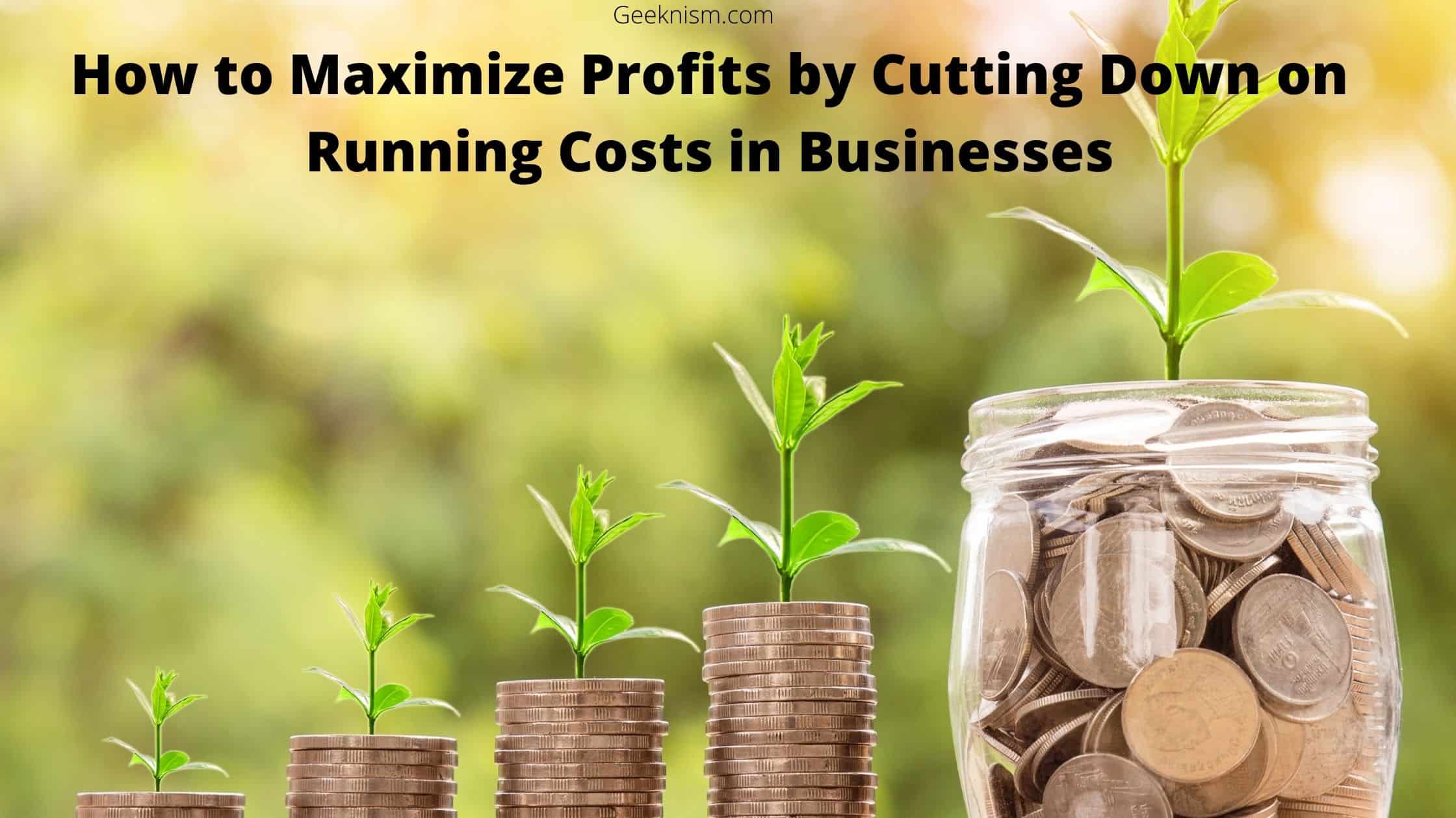 How to Maximize Profits by Cutting Down on Running Costs in Businesses