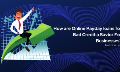 How are Online Payday loans for Bad Credit a Savior For Businesses